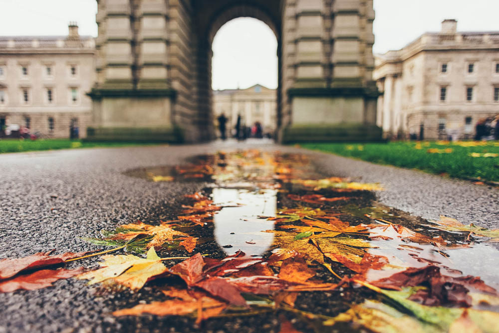 JoyDoesStuff Dublin Rainy afternoon puddles