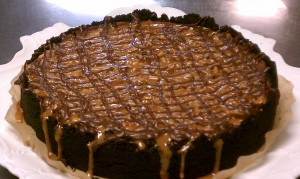 Turtle Dove Cheesecake