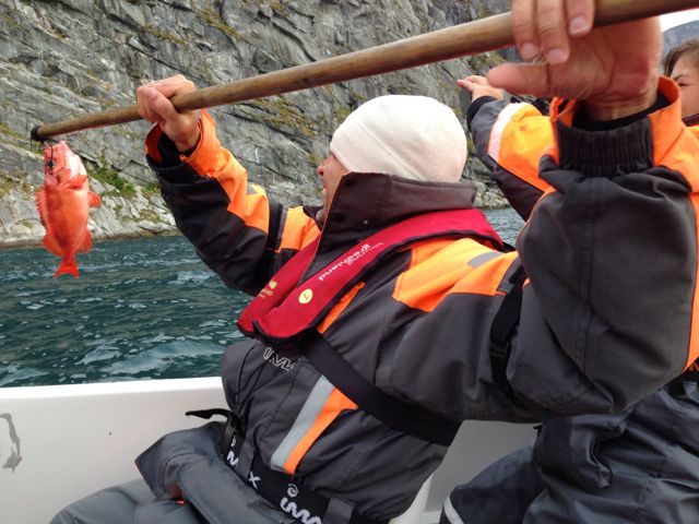 catching redfish in Greenland