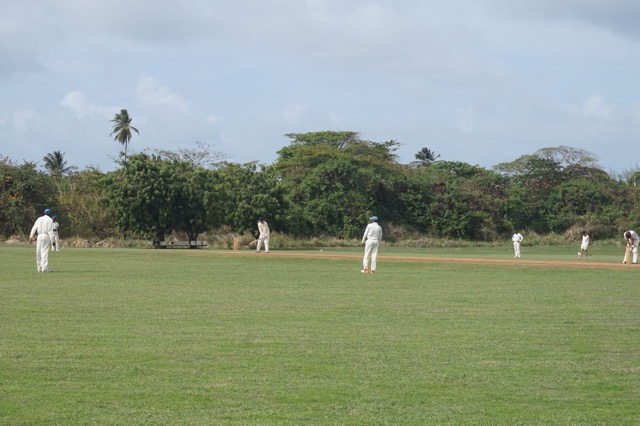 barbados cricket