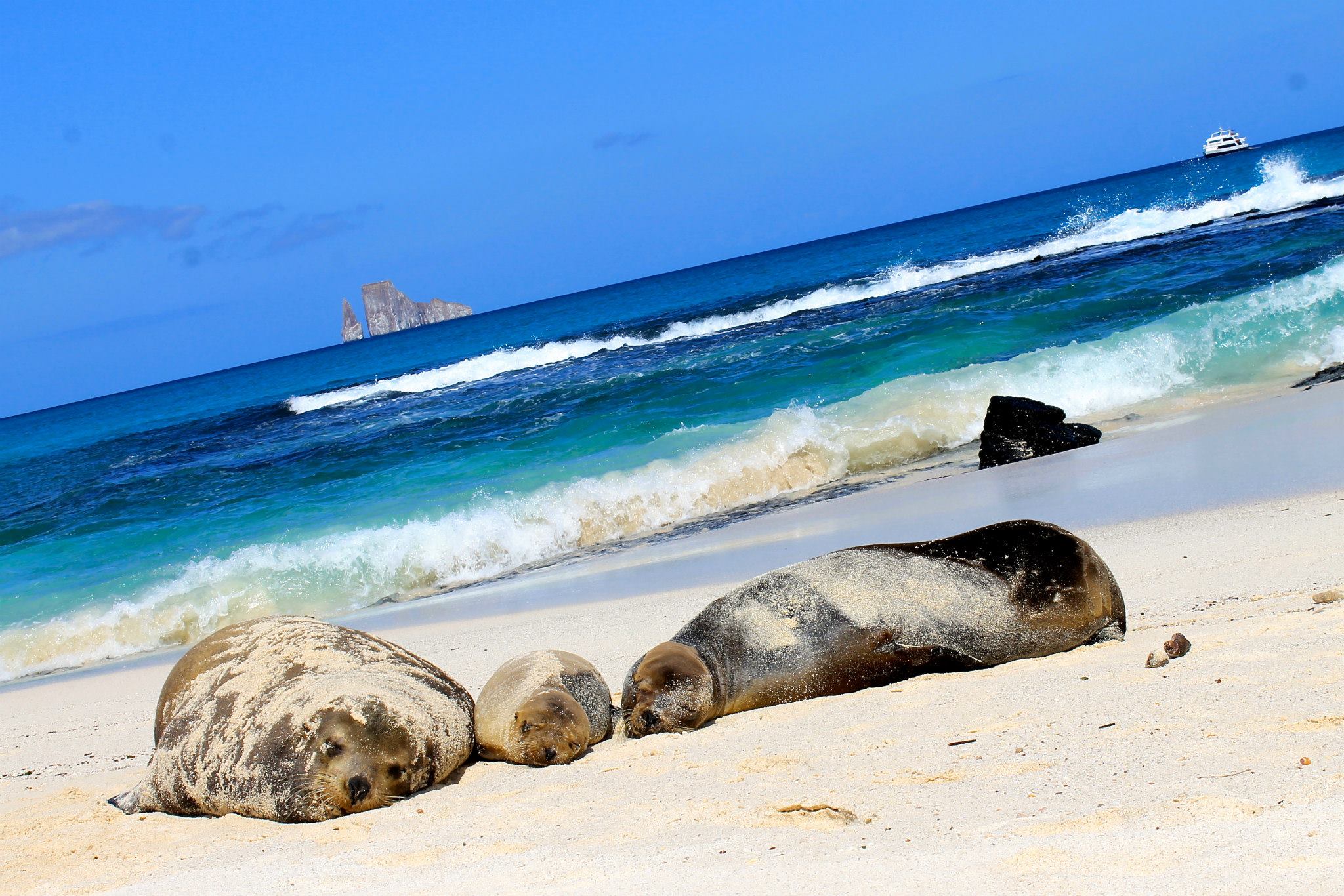 Ecoventura_Galapagos